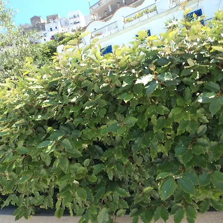 Elisa - Privata Inclusa Hotel Peschici