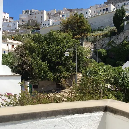 Hotel Elisa - Privata Inclusa 3*